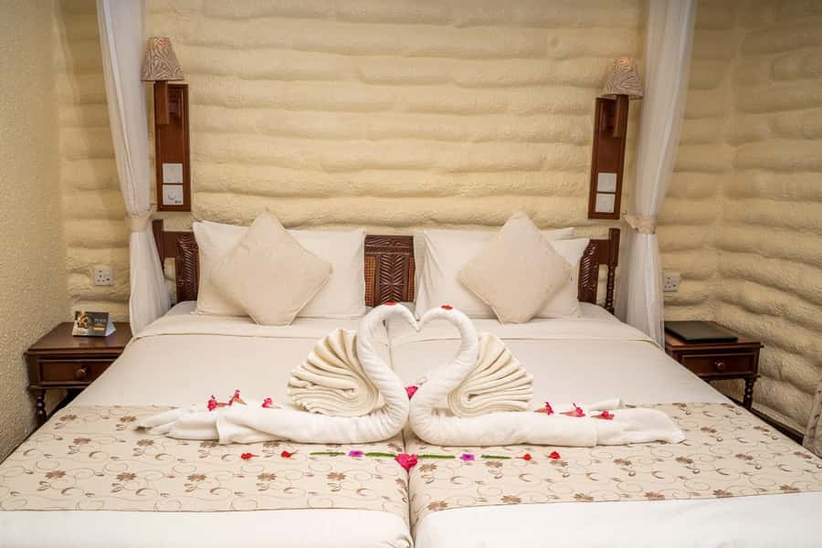2 days 1 night saltlick safari from Diani/Mombasa - Guides and Drivers: Small Decisions That Change Your Game-Drive Moments