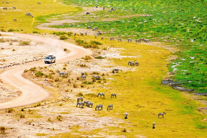 2 Days Amboseli Getaway Trip - Kilimanjaro Visibility and the Weather Reality Check