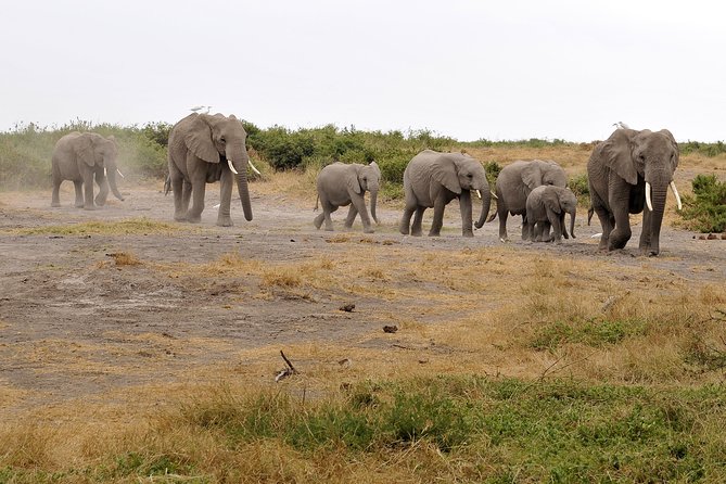 2 Days Amboseli Getaway Trip - Price and Value: Is $385 Fair for Two Days in Amboseli?