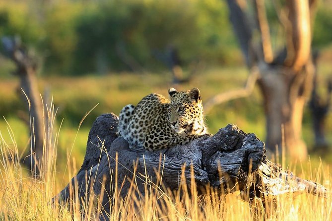 2 days Amboseli National Park Safari - Key highlights that matter in the real world