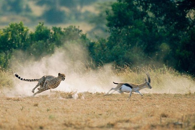 2 days Amboseli National Park Safari - Who this private Amboseli safari suits best