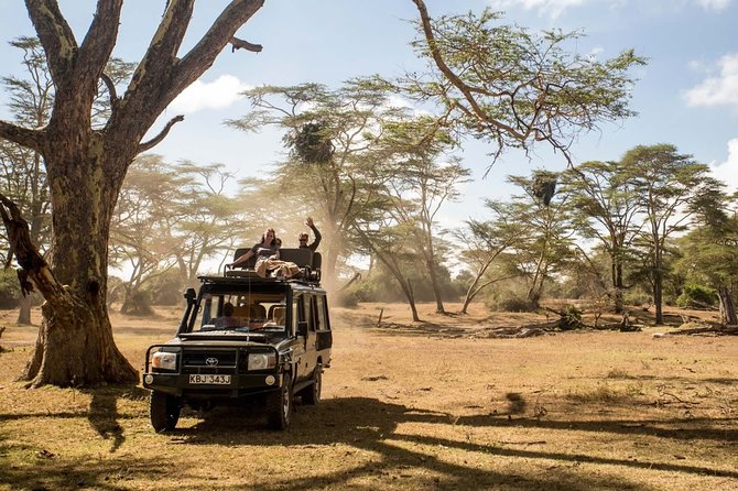 2 days Amboseli National Park Safari - Should you book this 2-day Amboseli National Park safari?