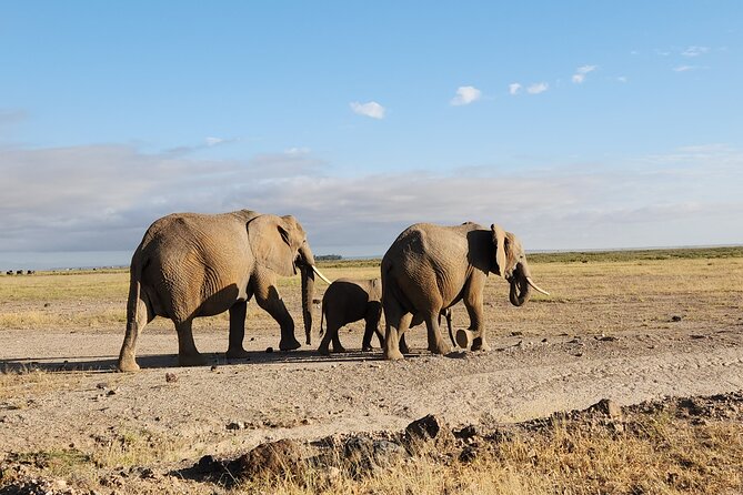 2 Days Amboseli Park Overnight Private Safari - Amboseli, Nairobi, and why this safari works in 2 days