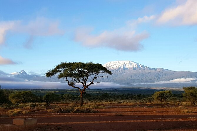 2 Days Amboseli Park Overnight Private Safari - Game drives that make sense: elephants, Big Five odds, and habitats