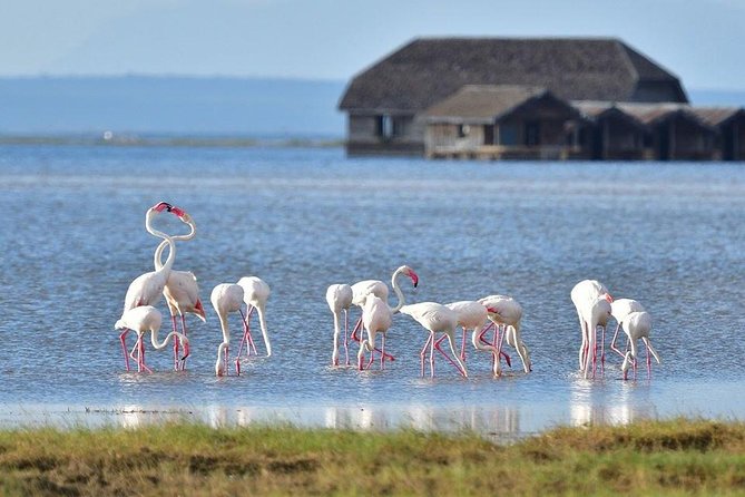 2 Days Amboseli Private Safari - Your 6:00 am Nairobi start and door-to-door logistics