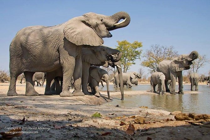 2 Days Amboseli Safari Adventure from Nairobi Classic Game Drives - Key things to know before you go