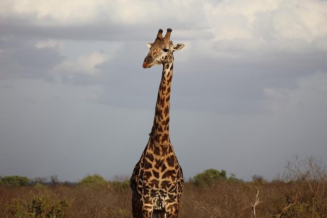 2 Days Safari Tsavo East - What to expect in your daily routine (so you pack smart)