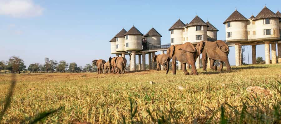 2 days Tsavo East and saltlick safari from Diani/Mombasa - From Diani or Mombasa to Tsavo East, you start at 5:00 am