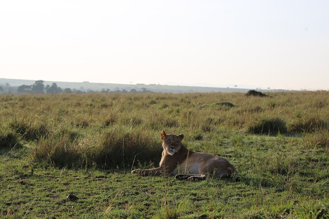 2 Days Tsavo East National Park Tour From Mombasa/Diani (1 Night) - Two Days, One Night: The Real Shape of This Safari