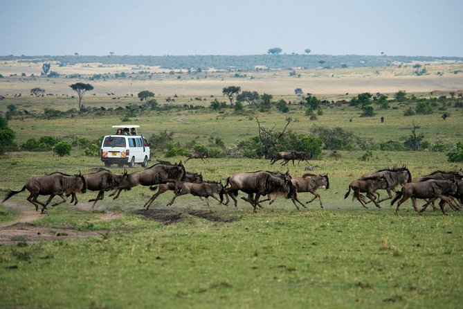 3-DAY Best Maasai Mara Safari (POPULAR) - Nairobi to the Great Rift Valley: why this route feels efficient