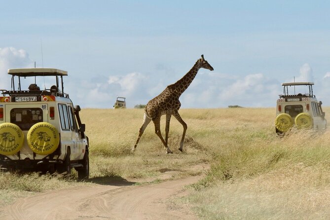 3-Day Budget Maasai Mara Joining Safari with 4x4 LandCruiser Jeep - Key Things You’ll Notice on This Maasai Mara Budget Safari