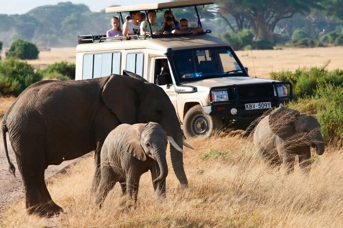 3-Day Budget Maasai Mara Joining Safari with 4x4 LandCruiser Jeep - Camp Time: Two Nights, Proper Meals, and Getting Your Energy Back