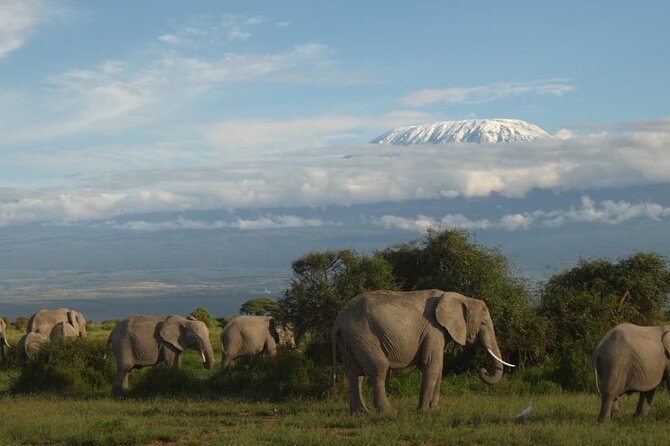 3 Day Exploring Amboseli National Park - Key Highlights You Actually Feel on the Ground