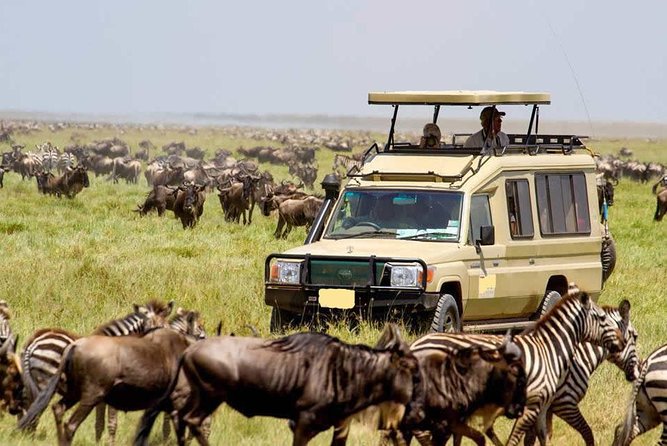 3 Day Maasai Mara Group Joining Camping Safari - Daily Departures - Price, what’s included, and where the real value shows up