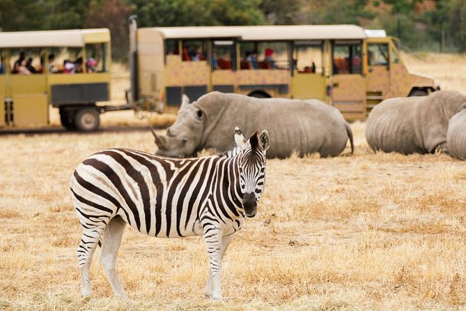 3-Day Maasai Mara Guided Safari From Nairobi - Price and logistics: what $246.58 really buys (and what adds up later)