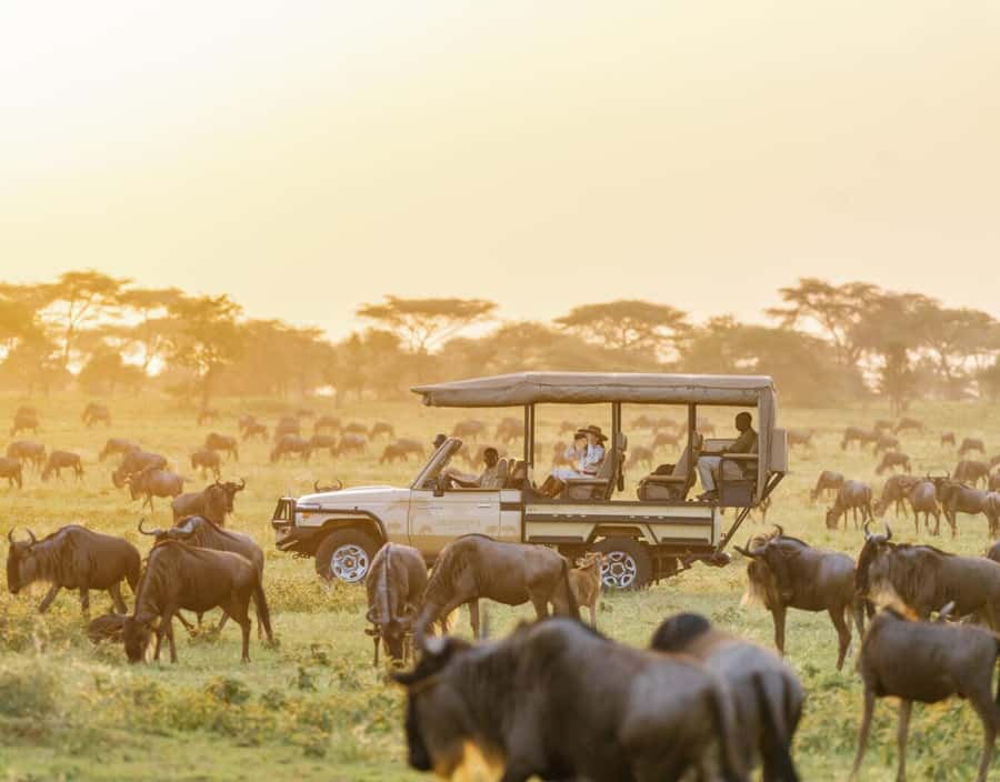 3-Day Maasai Mara Joining Safari at Enkorok Luxury Camp - Rift Valley pickup and the ride into Maasai Mara