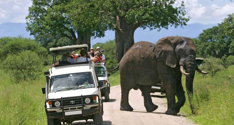 3-Day Maasai Mara Joining Safari at Enkorok Luxury Camp - Optional Masai village visit and how it fits the safari mood