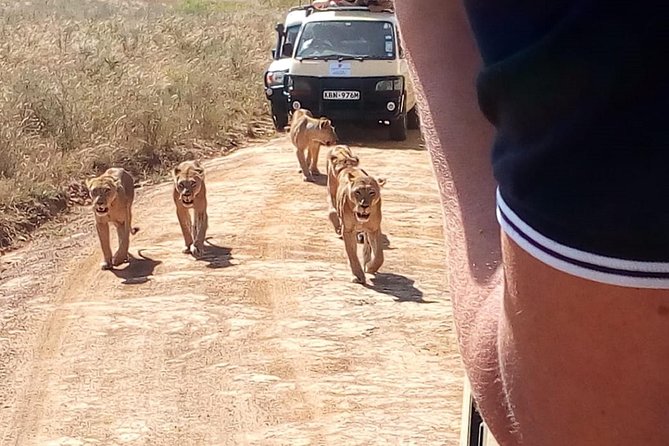 3 Day Maasai Mara & Migration safari - Who should book this safari, and who might want a different style