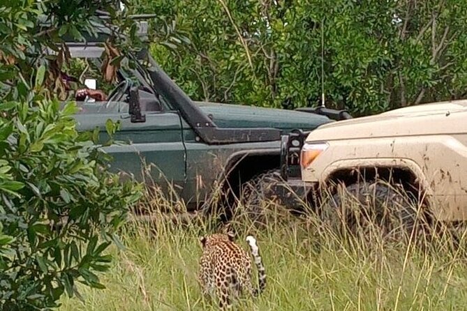 3-Day Maasai Mara Safari Tour in a 4 x4 Land Cruiser Jeep - Great Rift Valley viewpoint stop: a short break with a big payoff