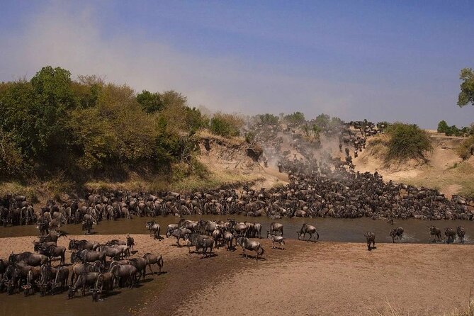 3-Day Masai Mara Group Safari with Pick Up - Nairobi pickup and the 7:00 am start: what that buys you