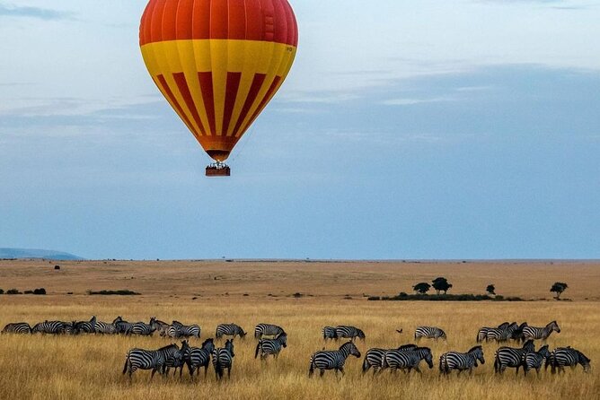 3-Day Masai Mara Safari Tour - Maasai Mara National Reserve: how you’ll actually spend your time