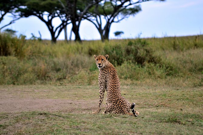 3-day Masai Mara Safari Tour to see the big five and wildebeest migration - From Nairobi to Maasai Mara, a tight 3-day reality check