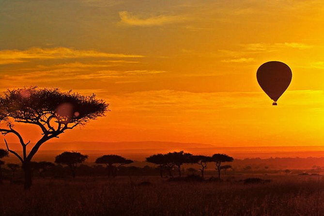 3-day Masai Mara Safari Tour to see the big five and wildebeest migration - Day 2: Mara River day, Big Five searching, and orange sunset timing