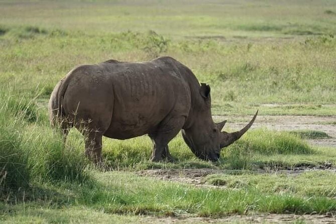 3 Day Private 4x4 Jeep Tour in Masai Mara Safari - What to pack and how to plan your expectations