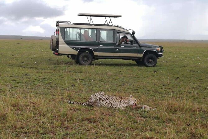 3 Day Private 4x4 Jeep Tour in Masai Mara Safari - Day 2: Mara River, acacia plains, and lunch by hippos