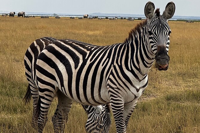 3 Day Private Tour in Maasai Mara with Lodge Luxury with Jeep - Big Five Time, Lion Chances, and What a “Long Day” Really Means