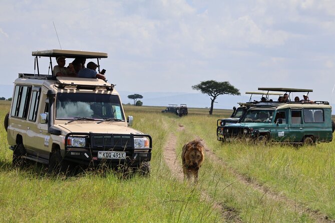 3 Day Private Tour in Maasai Mara with Lodge Luxury with Jeep - Day 3: Maasai Village Visit, Narok Lunch, and a Calm Exit to Nairobi