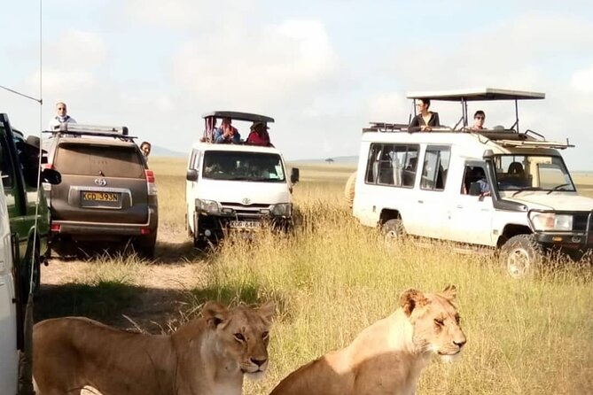 3 Day Private Wild Safari Tour in Maasai Mara - Nairobi to Maasai Mara via the Rift Valley viewpoint