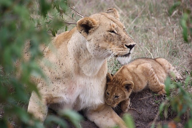 3-Day Safari Tour in two National Parks - Key highlights you’ll feel fast