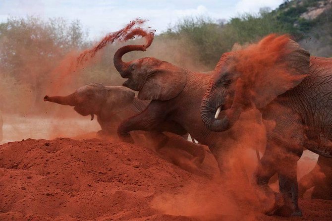 3-Day Tsavo East and Tsavo West Safari - Tsavo East and Tsavo West: the real wildlife mix you’re buying