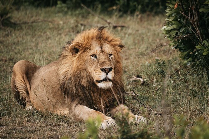 3-Day Tsavo East and Tsavo West Safari - Guides and spotting skills: why Edward, John, Patrick, and Anthony come up