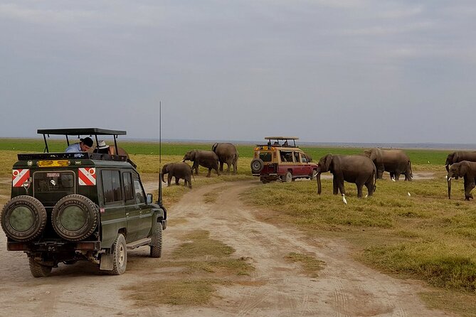 3 Days 2 Nights Amboseli National Park Tour - Nairobi Pickup at 7:00 am, and How the Days Actually Work