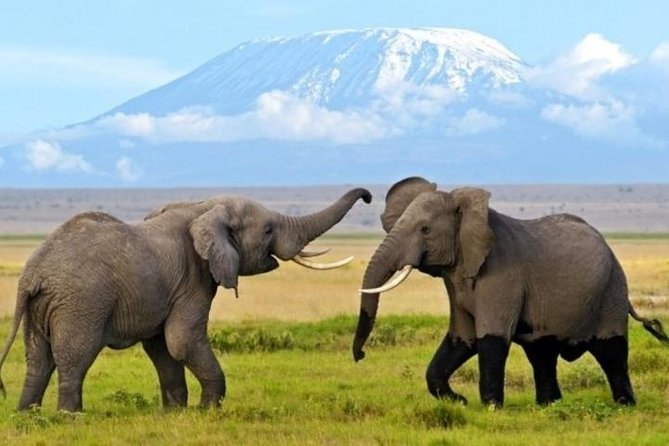 3 Days 2 Nights Amboseli Safari - Key things to plan around (so the trip feels smooth)