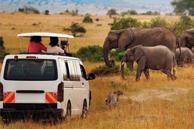 3 Days 2 Nights Amboseli Safari - Lodge life: what all-inclusive covers and what it does not