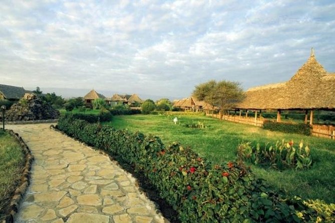 3 Days 2 Nights Amboseli Safari - Day 1: Nairobi to the lodge, plus your first game drive