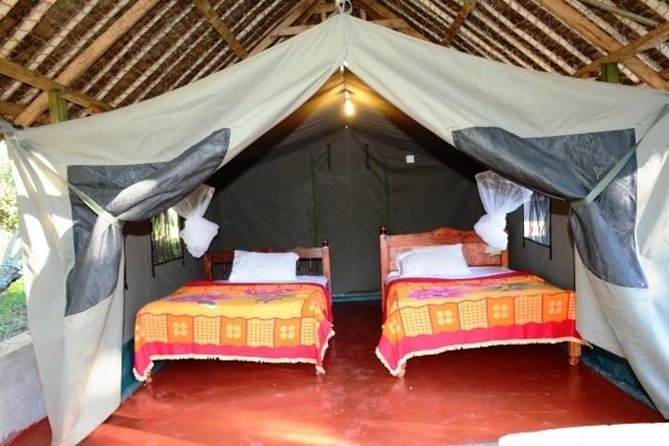 3 days 2 nights budget group safari to Maasai Mara National Reserve - Day 2: Big Five searching, picnic lunch, and the Mara River pull