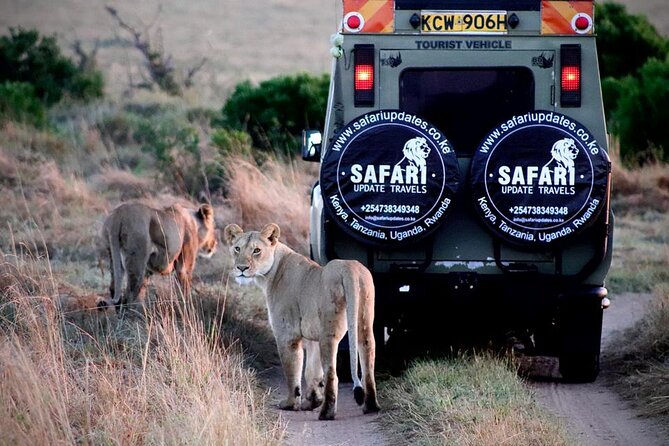 3 Days 2 nights Group joining Midrange Safari Tour in Masai maraa - Key highlights to know before you go