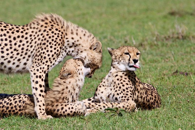 3 Days 2 Nights in Maasai Mara via The Great Rift Valley - Meals included: a small detail that makes a big difference