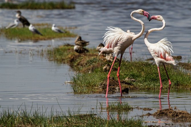 3 Days 2 Nights in Maasai Mara via The Great Rift Valley - Maasai village visit: cultural time with a clear optional price
