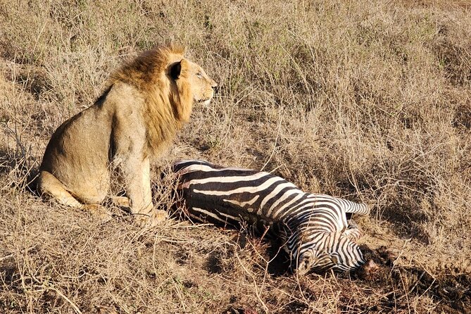 3 Days - 2 Nights Maasai Mara from Nairobi - Day 3: early morning drive and the optional hot air balloon breakfast