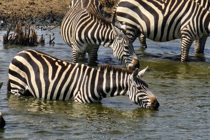 3 Days - 2 Nights Maasai Mara from Nairobi - Where the value really shows up: meals, hotel time, and private guiding
