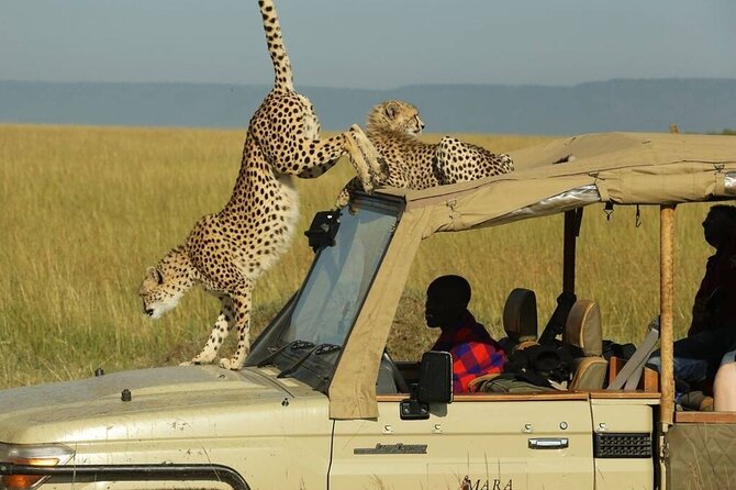 3 Days - 2 Nights Maasai Mara from Nairobi - Nairobi to the Rift Valley floor: the drive that sets the tone