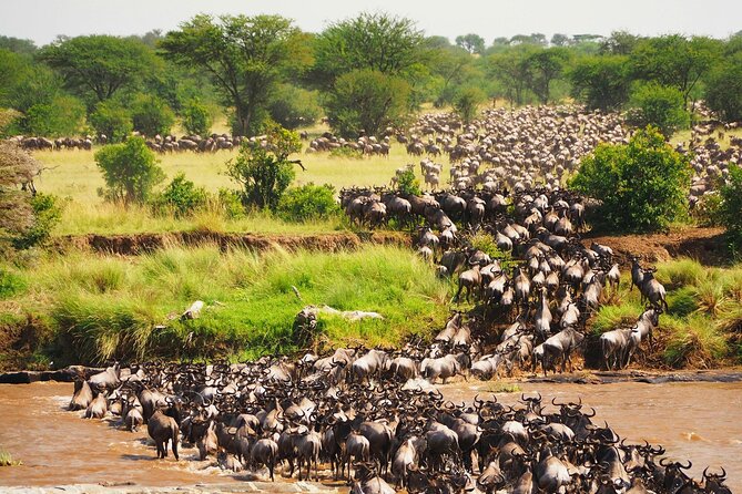 3 Days 2 Nights Maasai Mara Group Safari by 4WD From Nairobi - Key highlights you’ll actually feel on the ground