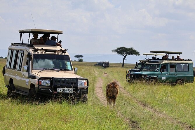 3 Days 2 Nights Maasai Mara Group Safari by 4WD From Nairobi - Price and value at $187 per person: what you really get