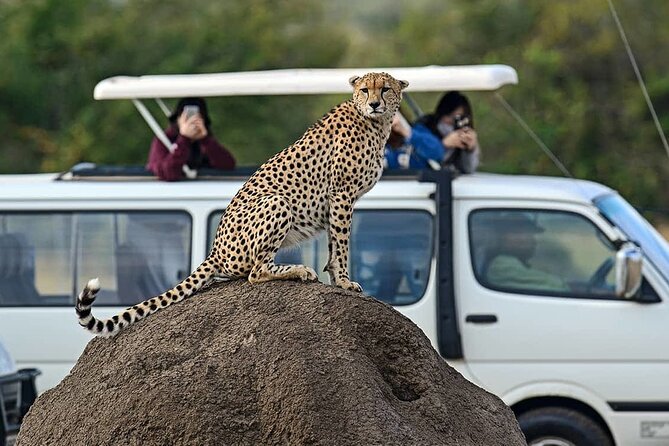 3 Days 2 Nights Maasai Mara Group Safari by 4WD From Nairobi - Small-group safari style: up to 8, and why that helps