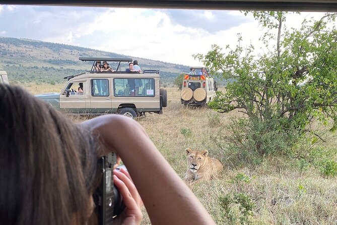 3 Days 2 Nights Maasai Mara Group Safari by 4WD From Nairobi - Day 1: Rift Valley views and your first sunset game drive (4:00 pm to 6:00 pm)